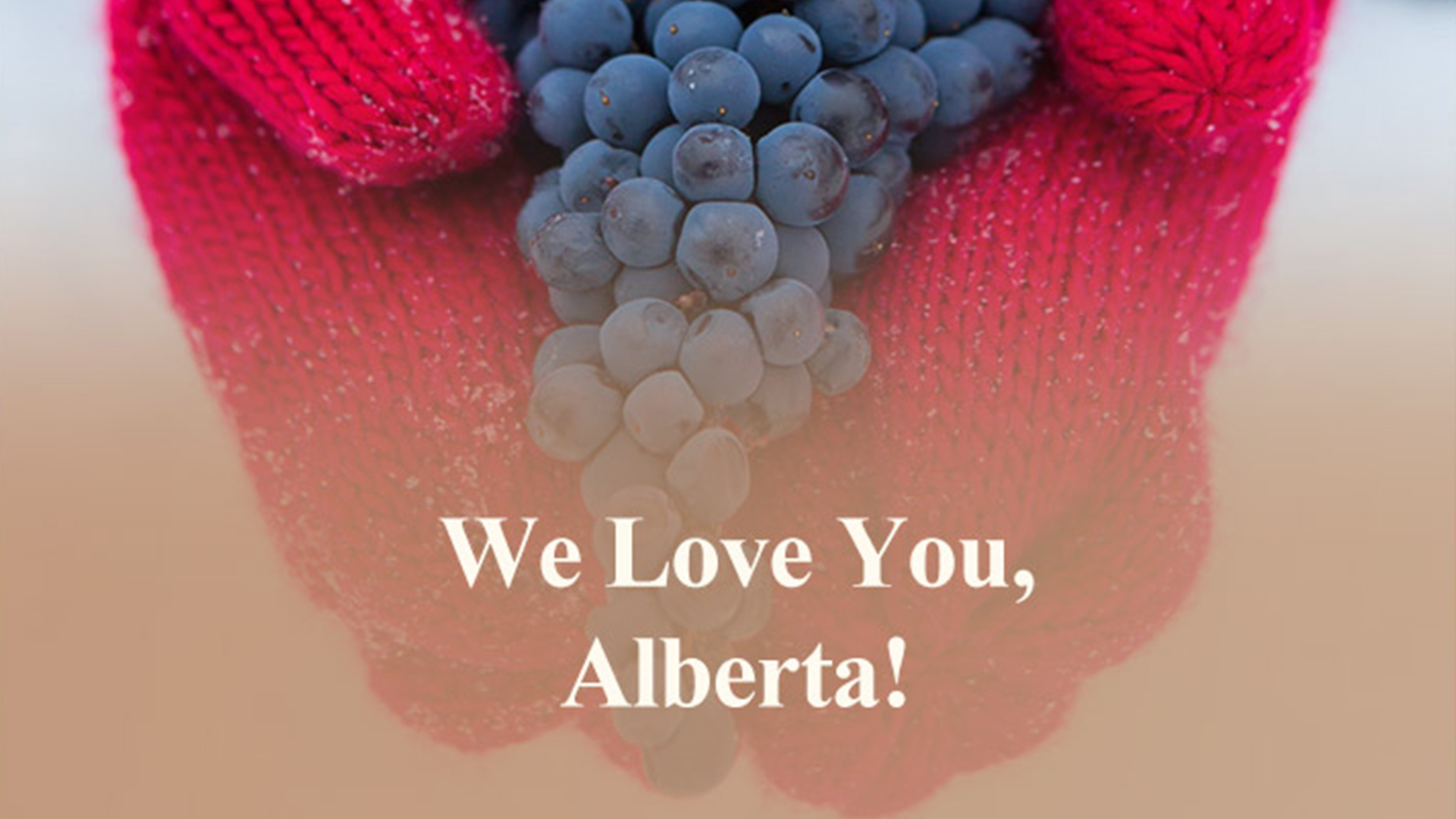 Important Message to Our Dear Alberta Wine Club Members